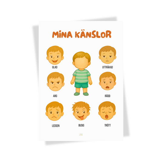 Visuellt känsloschema (PDF)